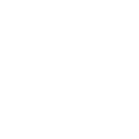 CRONOGRAM